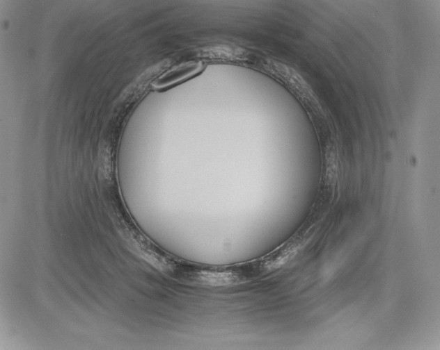 X0000081270457200701251607
