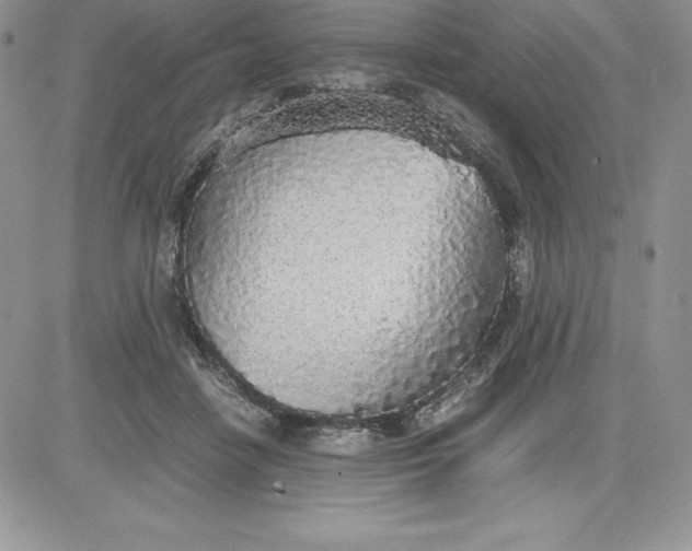 X0000081270458200701251607