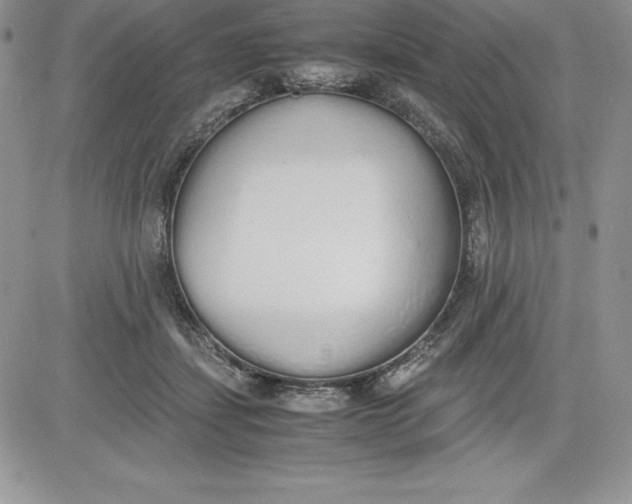 X0000081270459200701251607