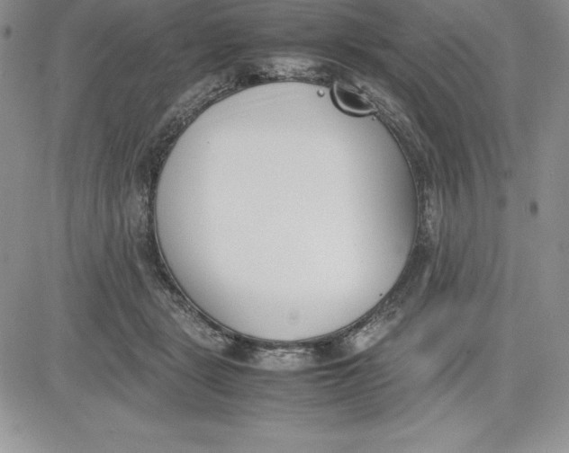 X0000081270461200701251607