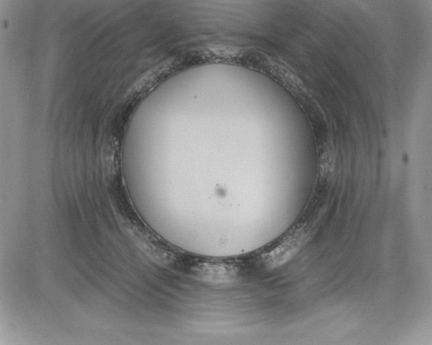 X0000081270464200701251607