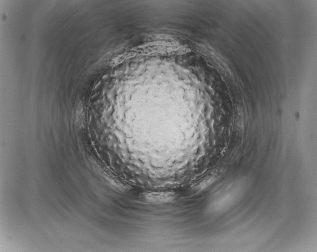 X0000081270465200701251607