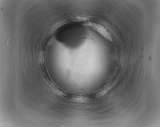 X0000081270467200701251607