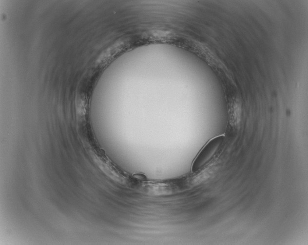 X0000081270472200701251607