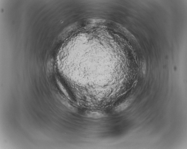 X0000081270475200701251607