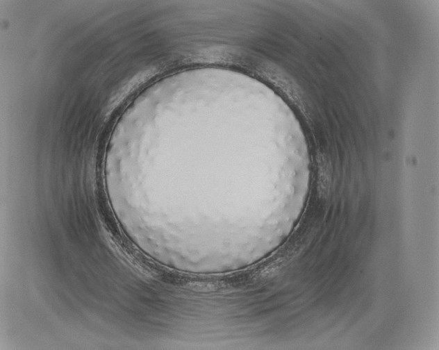 X0000081270482200701251606