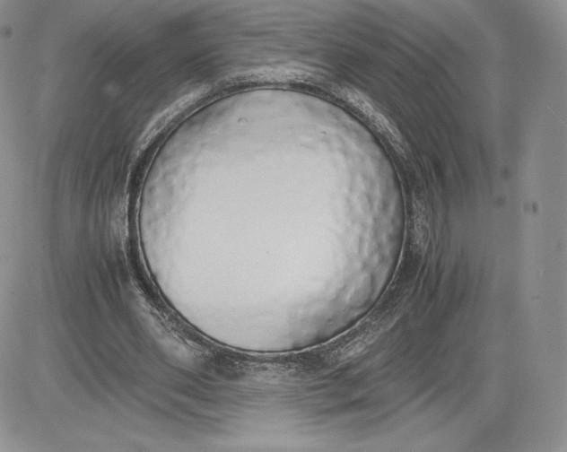 X0000081270486200701251606