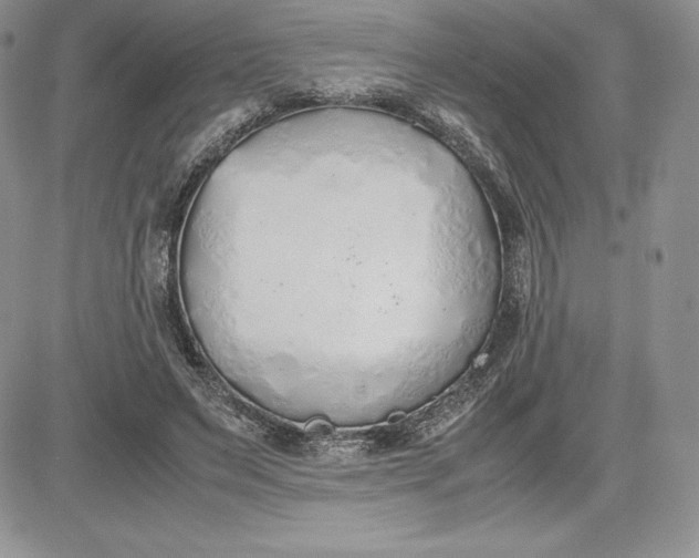 X0000081270495200701251606