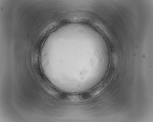 X0000081270499200701251606
