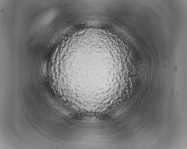 X0000081270502200701251606