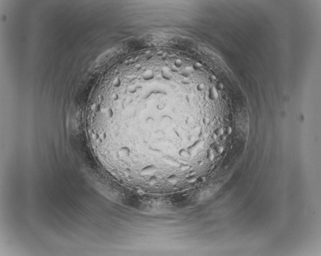 X0000081270503200701251606