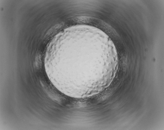 X0000081270506200701251606