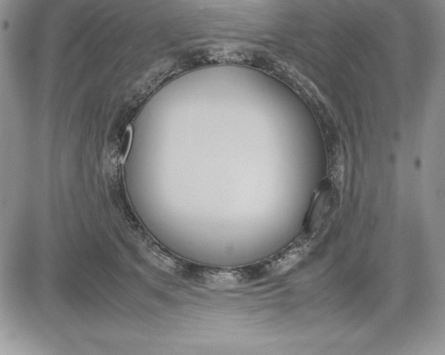 X0000081270513200701251606