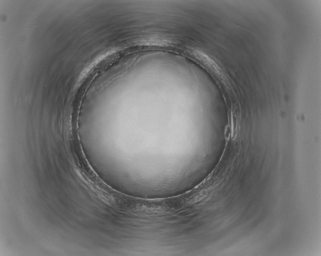 X0000081270531200701251605