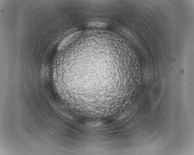 X0000081270551200701251605