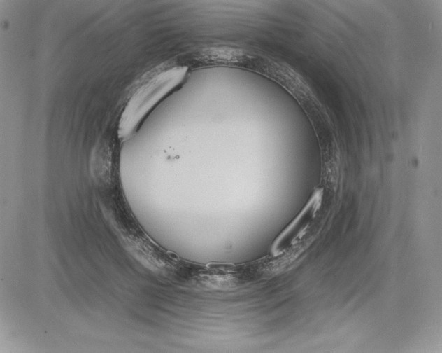 X0000081270552200701251605