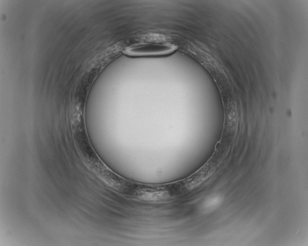 X0000081270555200701251605