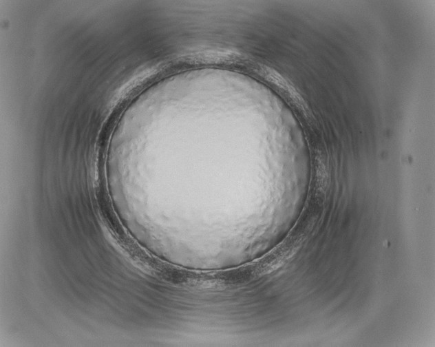 X0000081270582200701251605