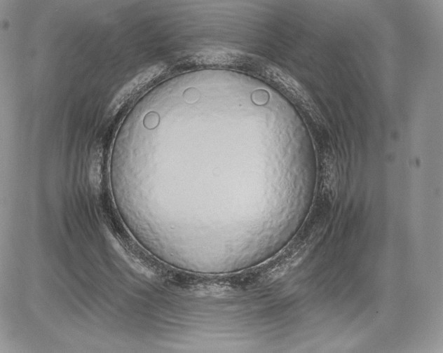 X0000081270586200701251605