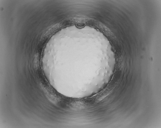 X0000081270594200701251605