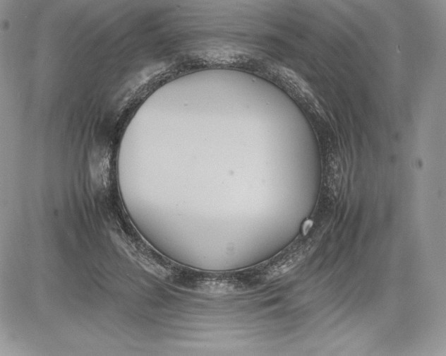 X0000081270596200701251605