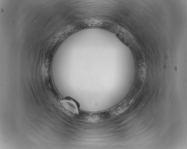 X0000081270604200701251604