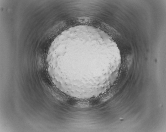 X0000081270606200701251604