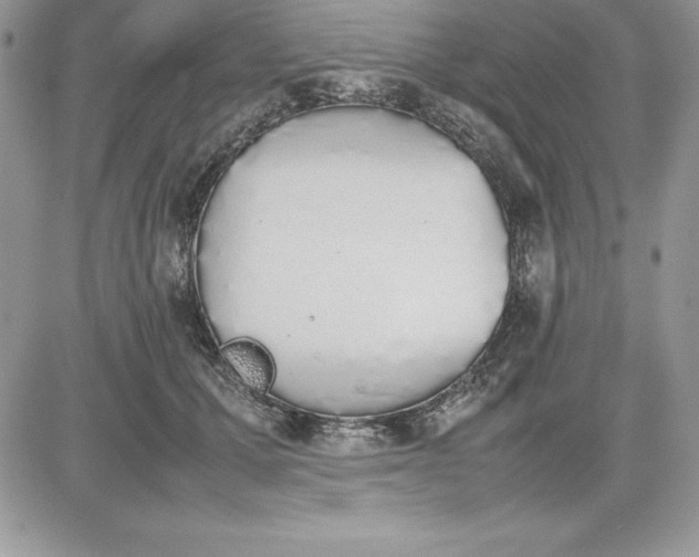 X0000081270607200701251604