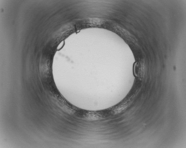 X0000081270608200701251604