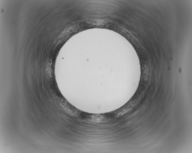X0000081270612200701251604