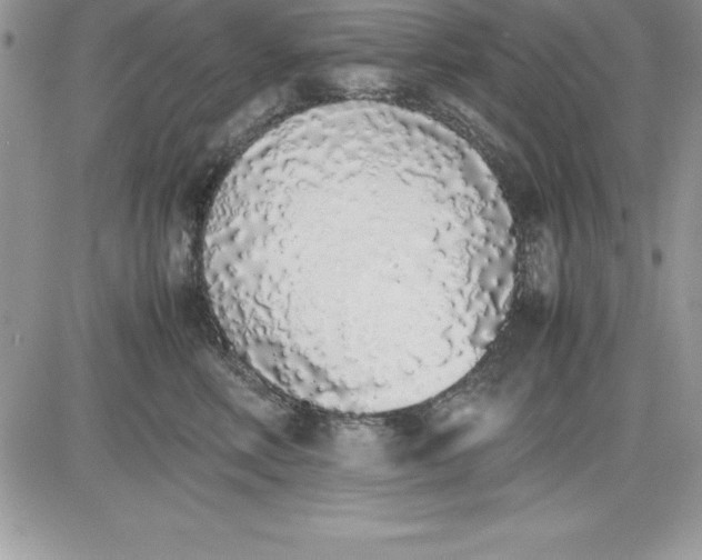 X0000081270618200701251604