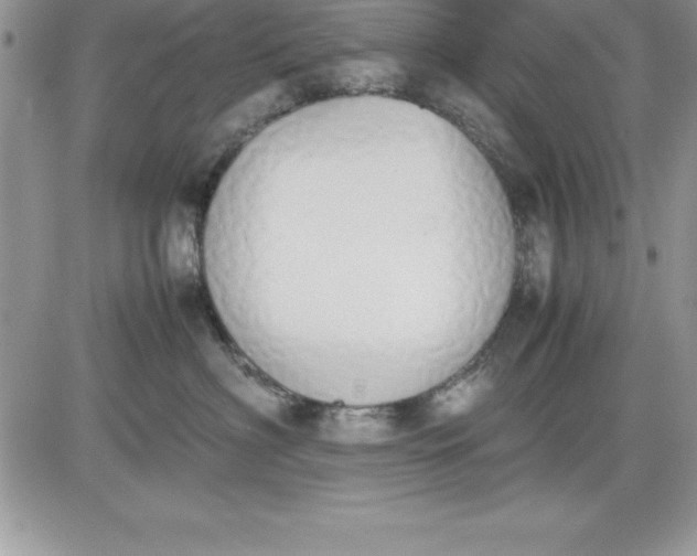 X0000081270622200701251604