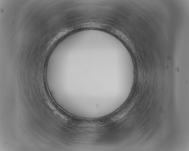 X0000081270625200701251603