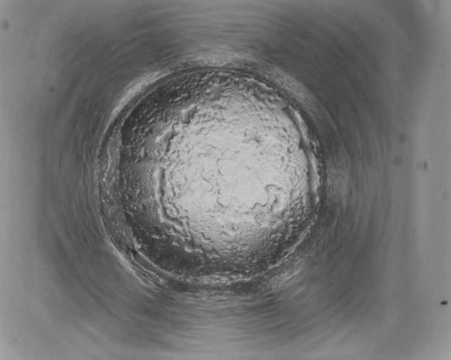 X0000081270626200701251603