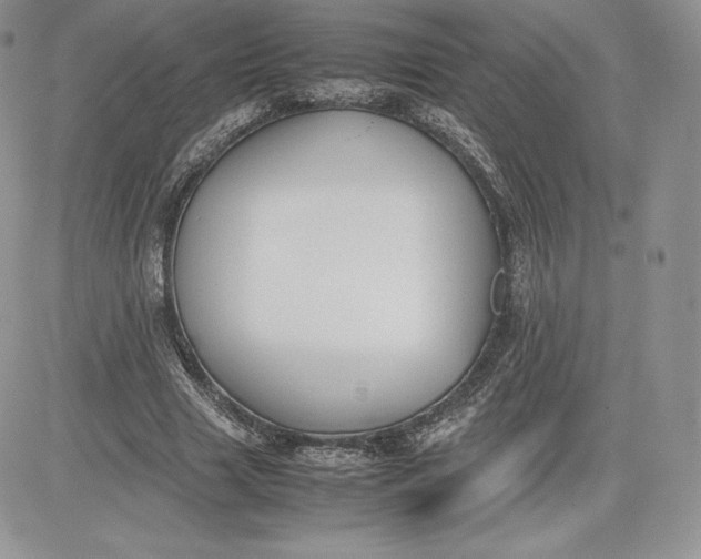 X0000081270633200701251603