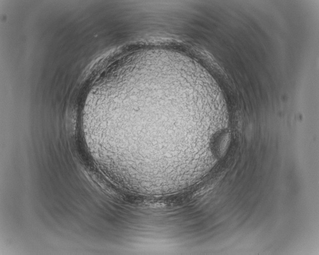 X0000081270640200701251604