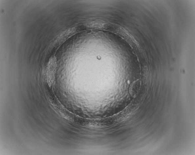 X0000081270641200701251604