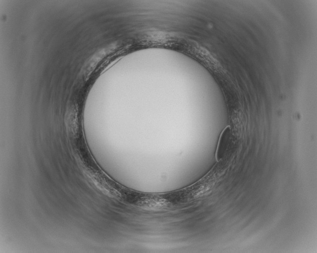 X0000081270642200701251604