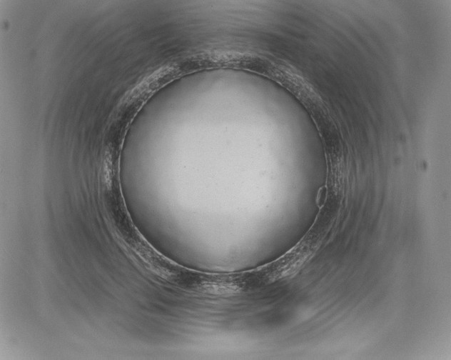 X0000081270644200701251604