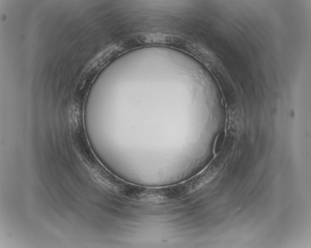X0000081270648200701251604