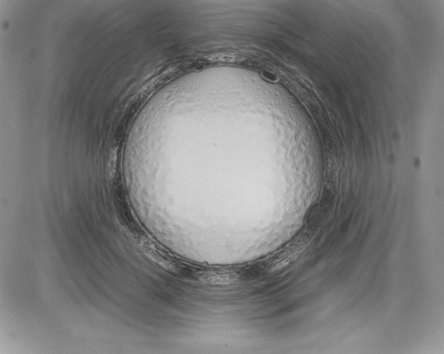 X0000081270652200701251604