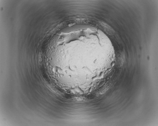 X0000081270654200701251604