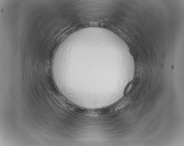 X0000081270656200701251604