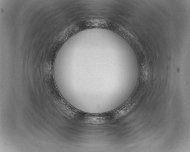 X0000081270657200701251604