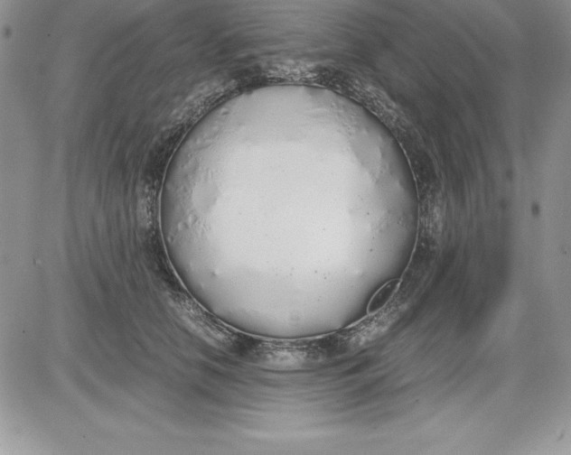 X0000081270658200701251604