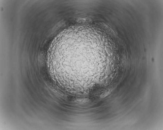 X0000081270659200701251604