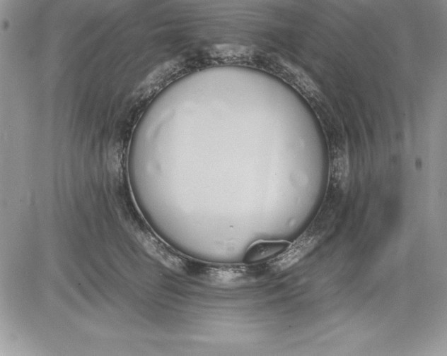X0000081270662200701251604