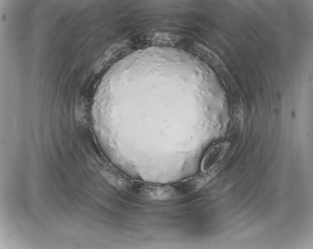 X0000081270663200701251604