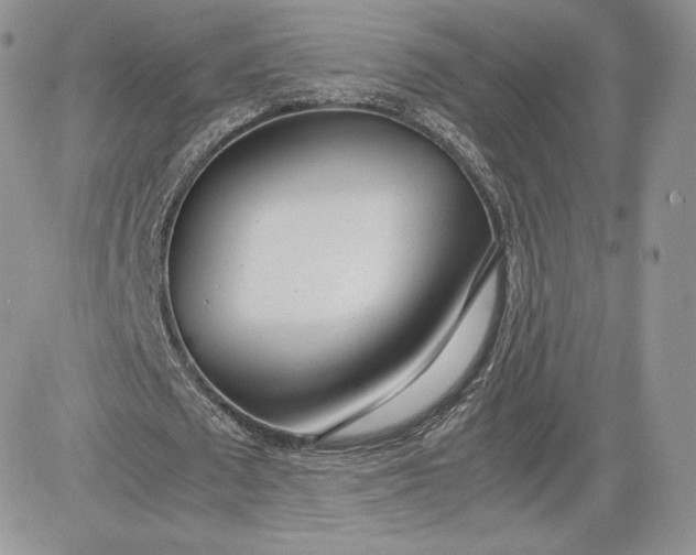 X0000081270673200701251603