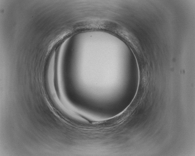 X0000081270677200701251603